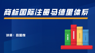商标国际注册马德里体系