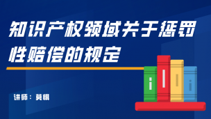 知识产权领域关于惩罚性赔偿的规定
